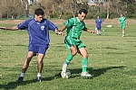 img_71.JPG