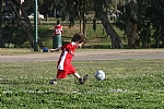 img_108.JPG