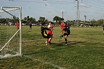img_109.JPG