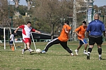 img_222.JPG
