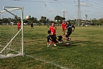 img_110.JPG