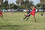 img_115.JPG