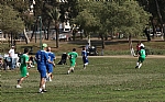 img_28.JPG