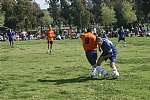 img_122.JPG