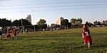 img_237.JPG