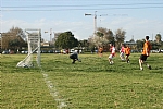 img_123.JPG