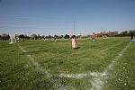 img_123.JPG