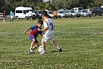 img_125.JPG