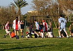 img_19.jpg