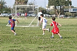 img_126.JPG