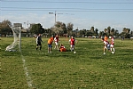 img_128.JPG