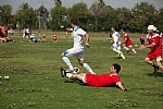 img_132.JPG