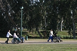 img_129.JPG
