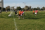 img_130.JPG