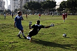 img_135.JPG