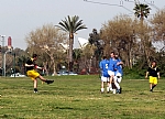 img_132.JPG