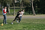 img_140.JPG