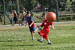 img_102.JPG