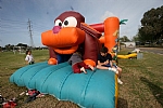 img_145.JPG