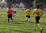 img_145.JPG