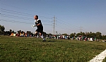 img_195.JPG