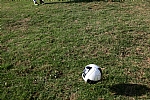 img_6.JPG