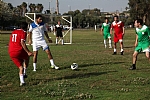 img_86.JPG