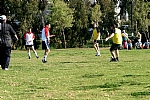 img_73.jpg