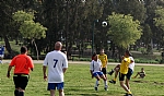 img_19.JPG