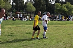 img_29.JPG