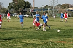 img_170.JPG