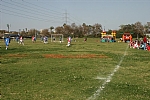img_171.JPG
