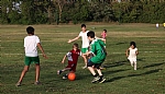 img_148.JPG