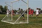 img_175.JPG
