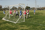 img_177.JPG