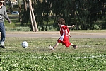 img_106.JPG
