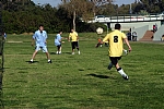 img_74.jpg