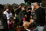 img_182.JPG